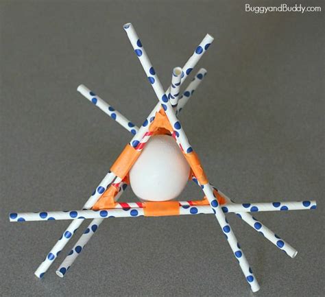 egg drop test dog|best egg drop design.